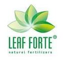 Leaf Forte